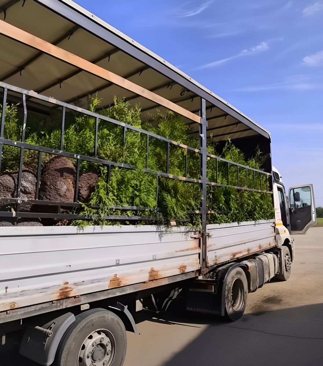 Настоящий эксклюзив: перевозка декоративного груза